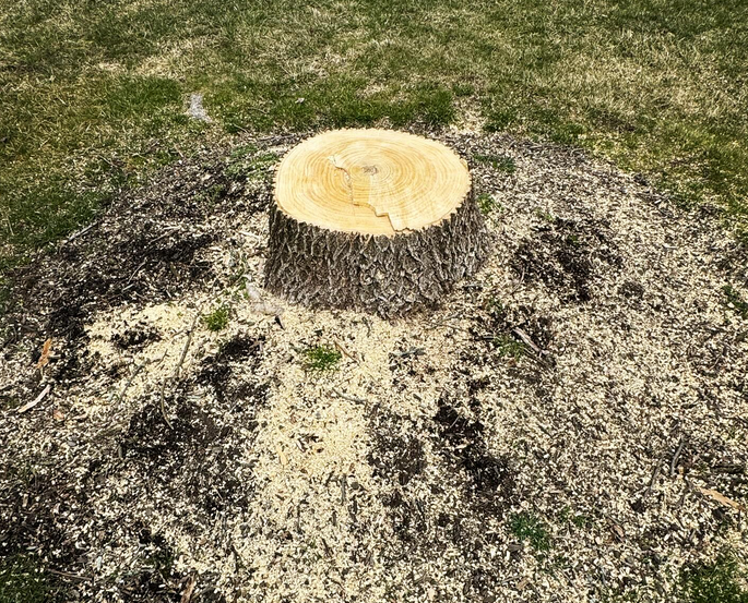 stump grinding