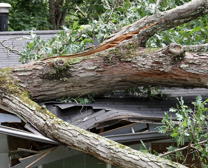 storm damage